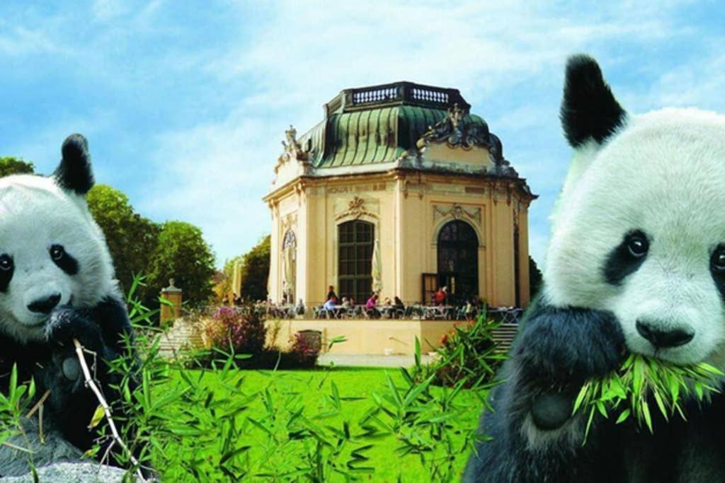 Leben Im Stadtlicht L Lf21 비엔나 외부 사진